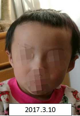 肏逼性爱免费在线观看